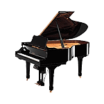 Дисклавир Yamaha DC3A PWH, фото 